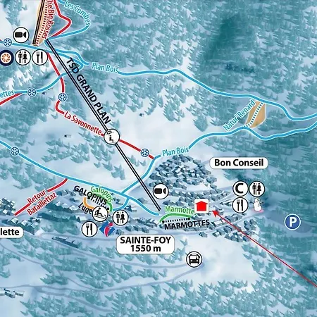 Chalet Meleze Skis Aux Pieds Alpes, Sainte-foy Station 1550